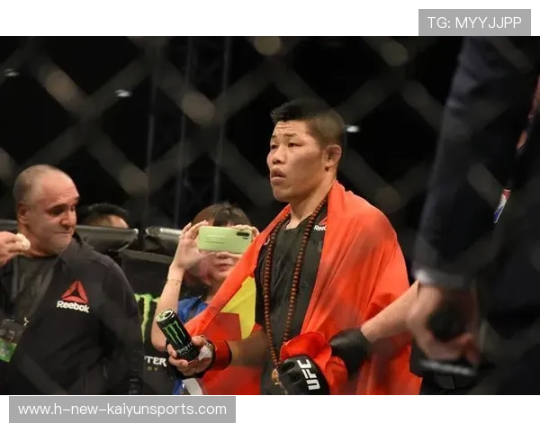 UFC地面锤拳造成重创：极致战斗中的致命武器